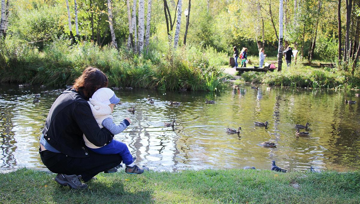 Пермь — «город в лесе» | «Пятница»